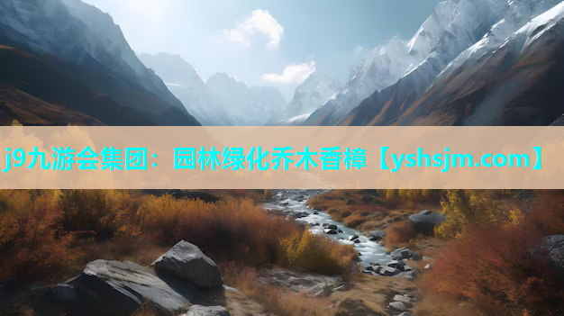 j9九游會(huì)集團(tuán)：園林綠化喬木香樟