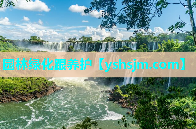 園林綠化跟養護