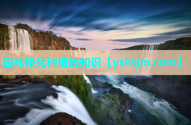 園林綠化種植的知識
