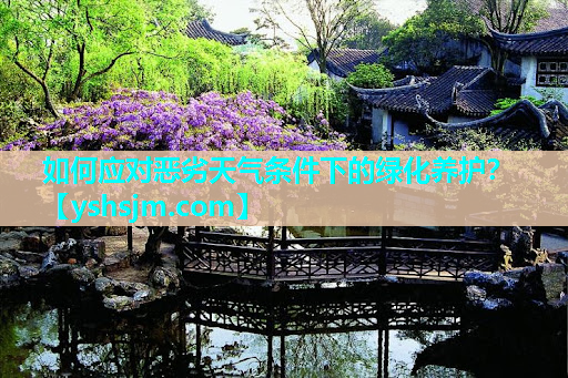 如何應(yīng)對惡劣天氣條件下的綠化養(yǎng)護(hù)？