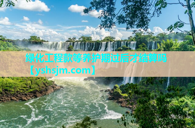 綠化工程款等養(yǎng)護期過后才結(jié)算嗎
