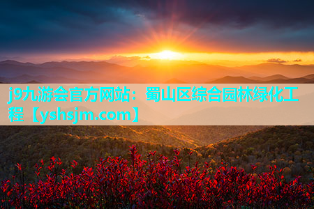 j9九游會(huì)官方網(wǎng)站：蜀山區(qū)綜合園林綠化工程