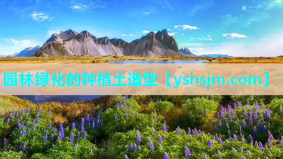 園林綠化的種植土造型